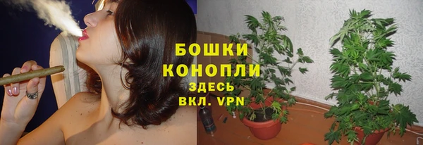 гашик Елабуга