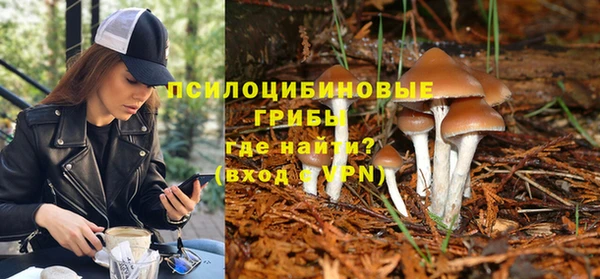 гашик Елабуга
