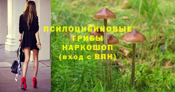 гашик Елабуга