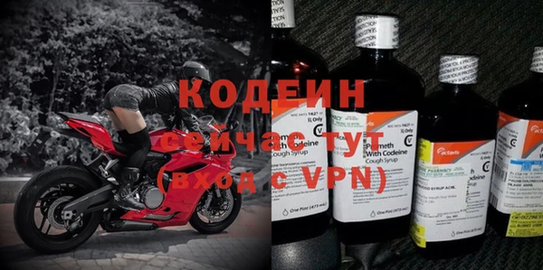 a pvp Ельня