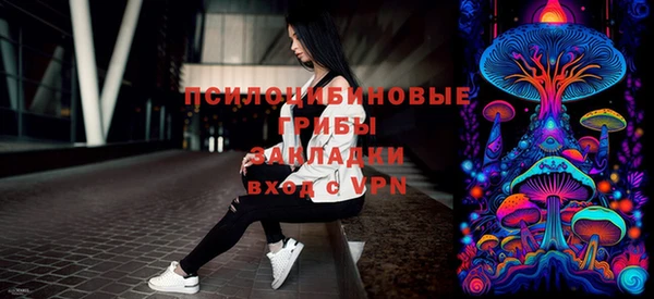 синтетический гашиш Елизово