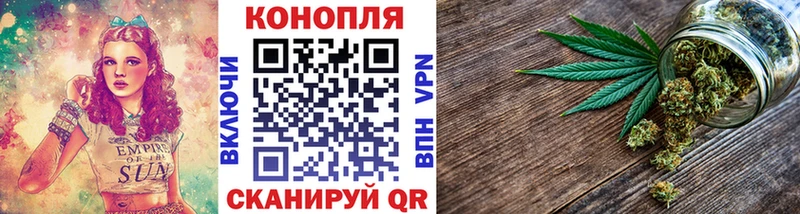 Шишки марихуана White Widow  Купить  Волосово 